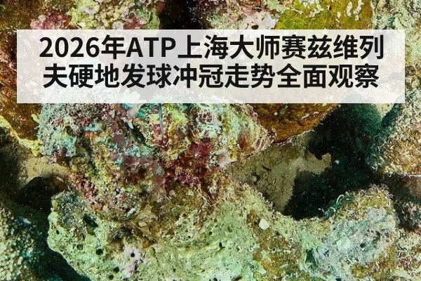 2026年ATP上海大师赛兹维列夫硬地发球冲冠走势全面观察